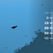 A Penguin's Odyssey